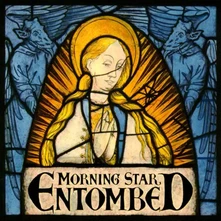 Vinyl MORNING STAR