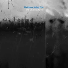 Matthew Shipp, CD TRIO- - UNIDENTIFIABLE
