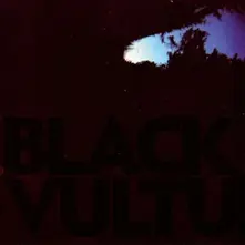 BLACK VULTURES thumbnail