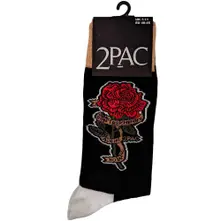 Rose thumbnail