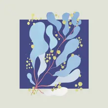 Salamanda - In Parallel (Vinyl)