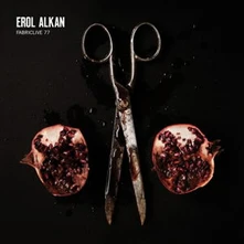 Erol Alkan, CD FABRICLIVE 77
