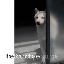 STILL QUIET (Vinyl)