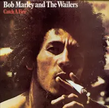 Vinyl And The Wailers - Catch A Fire