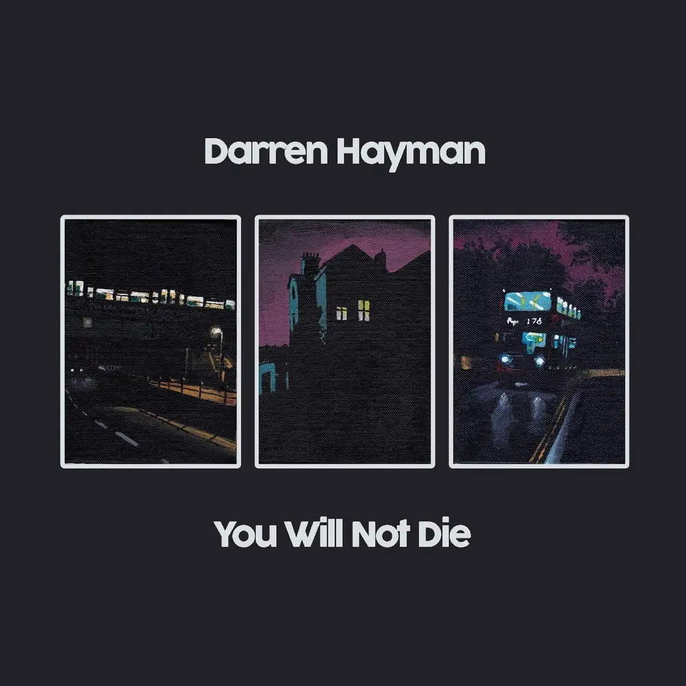 Darren Hayman – YOU WILL NOT DIE (Vinyl)