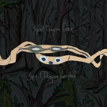 Animal Collective, Vinyl SPIRIT THEY'RE GONE, SPIRIT THEY'VE VANISHED