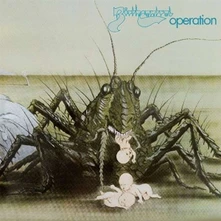 Vinyl BIRTH CONTROL - OPERATION