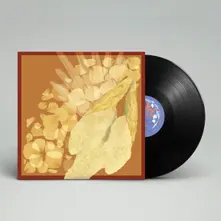 Vinyl DEVOTEE