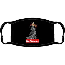 Notorious Baby thumbnail