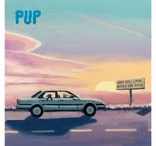 PUP, CD WHO WILL LOOK AFTER THE DOGS?