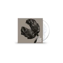 CD RELEASE