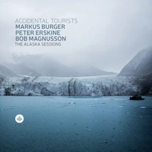 CD ALASKA SESSIONS - ACCIDENTAL TOURISTS