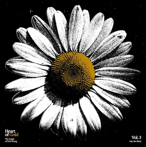 VOL. 3 - INTO THE BLACK