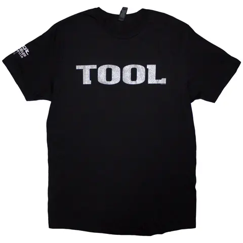 Metallic Silver Logo