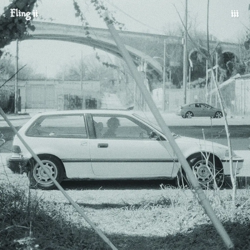 Fling II – 3 (Vinyl) 1