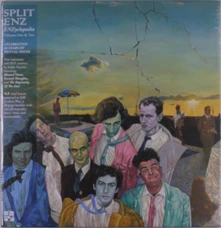 Vinyl ENZYCLOPEDIA