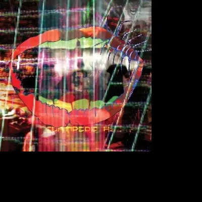 Animal Collective – CENTIPEDE HZ (CD)