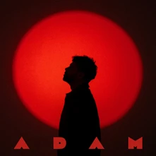 Adam Ďurica, CD Adam