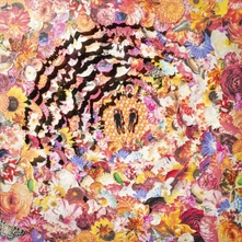 Vinyl THE BIMBONACCI SEQUENCE