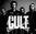 The Cult