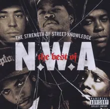 CD The Best of N.W.A: The Strength of Street Knowledge