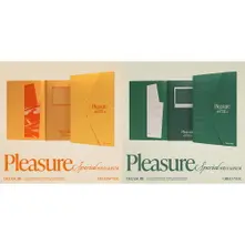 CD Treasure Special Mini Album: Pleasure