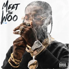 Vinyl Meet The Woo V.2 (Deluxe Edition)