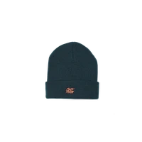 Orange 2020 thumbnail
