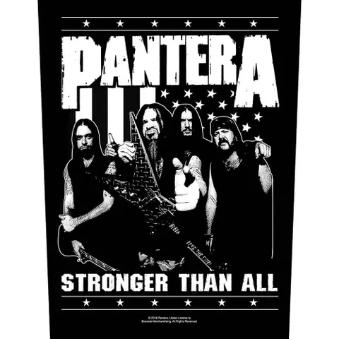 Stronger Than All Band Photo
