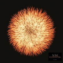 Vinyl COSMOGONIA