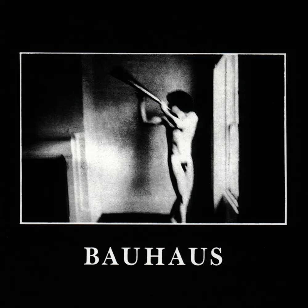 Bauhaus – IN THE FLAT FIELD (CD)