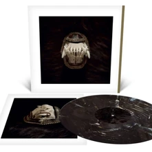 Amenra, Vinyl DE TOORN
