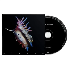 SUB FOCUS, CD Evolve
