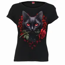 Cat's Love