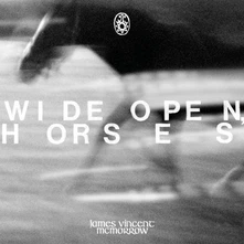 James Vincent McMorrow, CD WIDE OPEN, HORSES