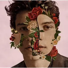 SHAWN MENDES thumbnail