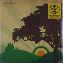 The Academy Is..., Vinyl ALMOST HERE