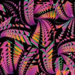 Bitchin Bajas – BAJASCILLATORS (Kazeta)