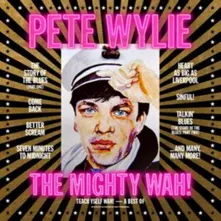 TEACH YSELF WAH! - THE BEST OF PETE WYLIE & THE MIGHTY WAH! thumbnail