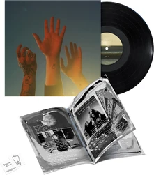 Boygenius, Vinyl the record