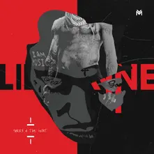 Lil Wayne, Vinyl Sorry 4 The Wait