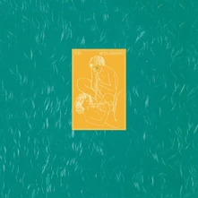 CD SKYLARKING