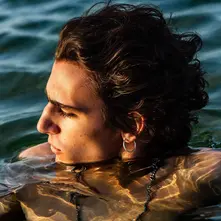 Tamino, Vinyl AMIR