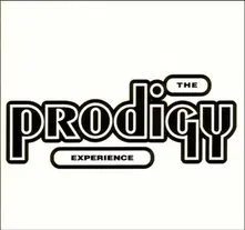 CD EXPERIENCE