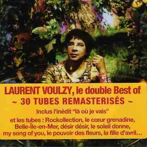 Laurent Voulzy – CD Saisons