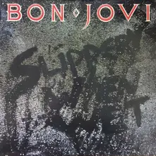 Vinyl SLIPPERY WHEN WET