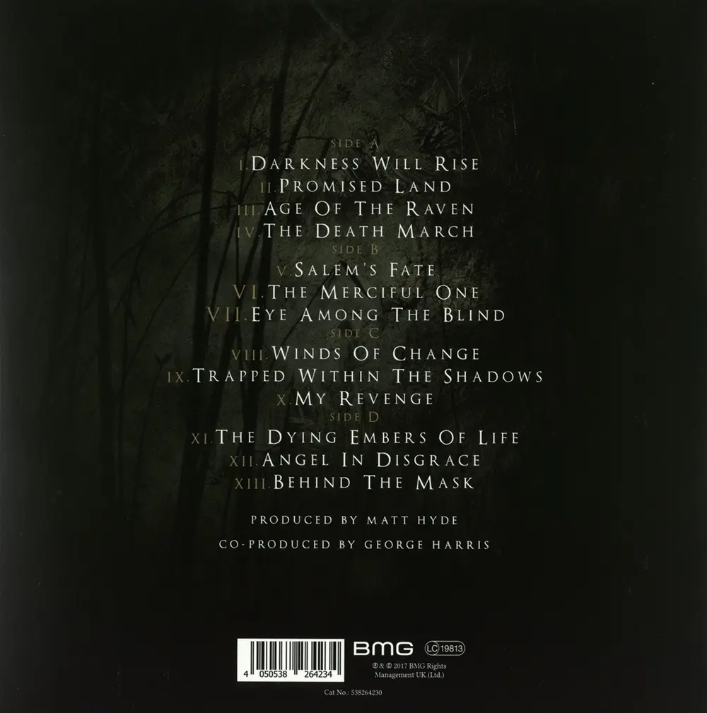 THE RAVEN AGE (Vinyl)