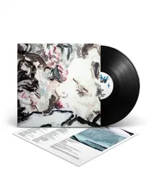Iceage, Vinyl FOR LOVE OF GRACE & THE HEREAFTER