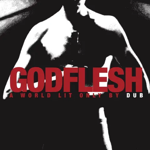 Godflesh – Vinyl A WORLD LIT ONLY BY DUB
