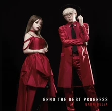 CD GRND THE BEST PROGRESS